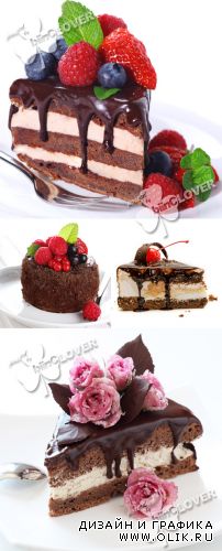 Chocolate cake with fresh berry 0243