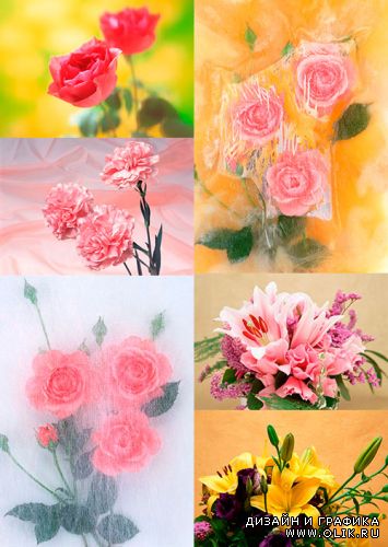 Цветочные Композиции / Flower Arrangements