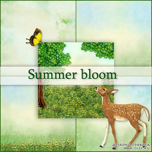 Summer bloom Kit