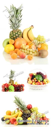 Assortment of exotic fruits 0246