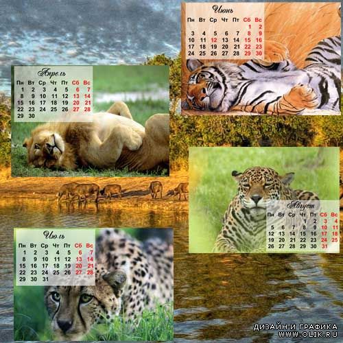 Календари 2013 - сафари