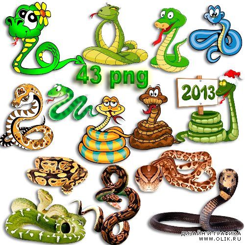 Png клипарт - Змеи и змейки