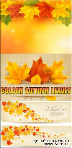 Золотые клена листочки | Gold autumn leaves (vector)