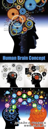 Human Brain Concept Vector