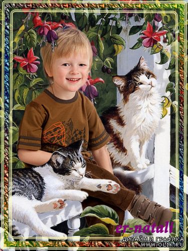 Шаблон для фотошопа "Кошки и фуксия"