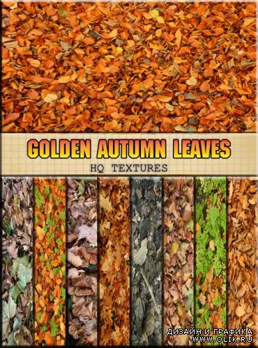 Текстура - из золотых листьев листьев (clipart hq)