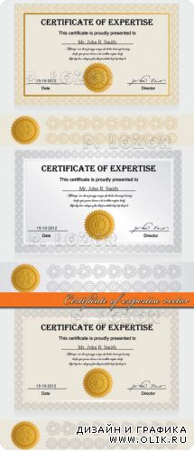 Сертификаты и элементы дизайна | Certificate of expertise design elements vector