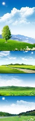 Green Fields, Tree and the Road in PSD