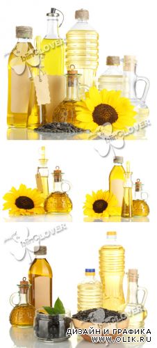 Olive and sunflower oil 0276