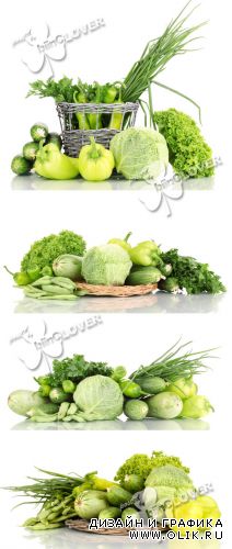 Fresh green vegetables 0277