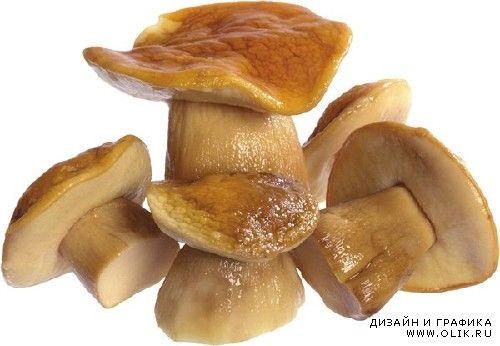 Блюда из грибов, грибы маринованные, сушеные, жаренные