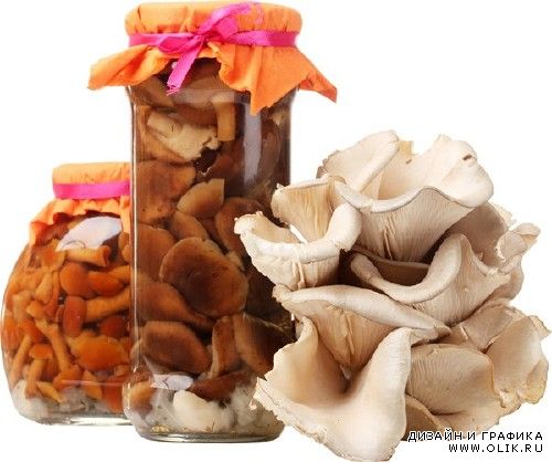 Блюда из грибов, грибы маринованные, сушеные, жаренные