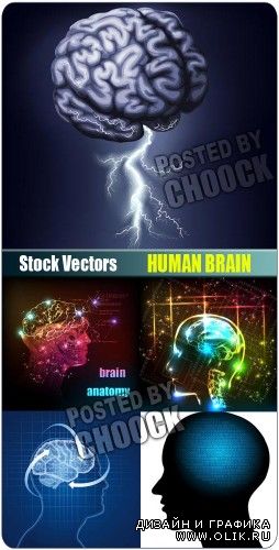 Мозг человека - векторный клипарт