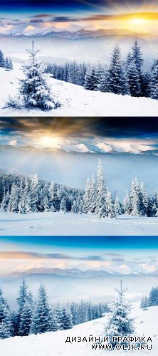 Зимний Пейзаж с Заснеженными Деревьями / Winter Landscape with Snow Covered Trees