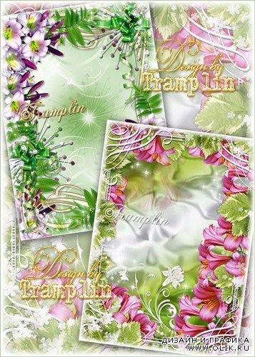 Две Цветочные рамки для фото – Лилии Прекрасные цветы