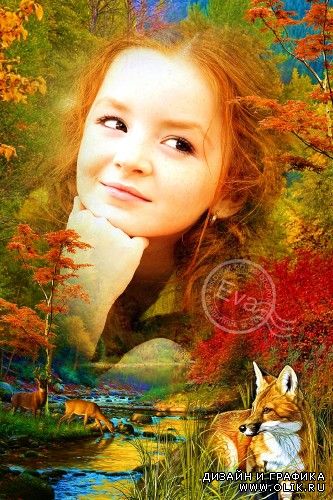 Рамка для фотошопа - Осенний жгучий лес