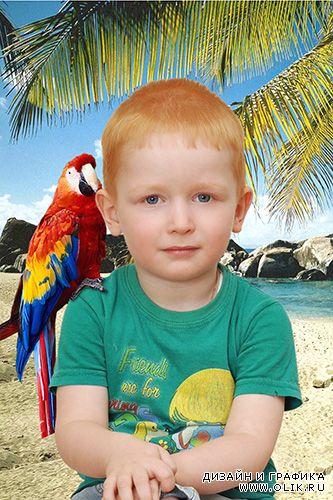 Шаблон фотошоп Детская открытка с попугаем