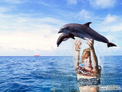 Рамка для фотошопа - дельфины в море