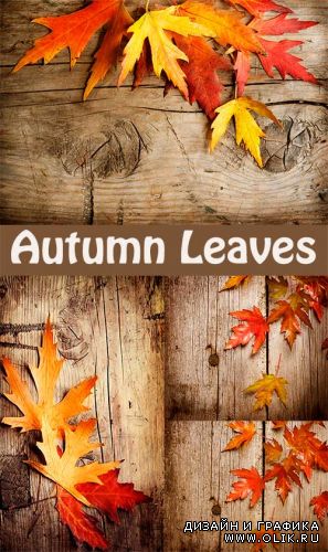 Осенняя листва | Autumn Leaves