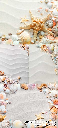 Фоны - Песок, Ракушки | Backgrounds - Sand Seashells