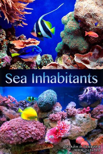 Морские обитатели | Sea Inhabitants