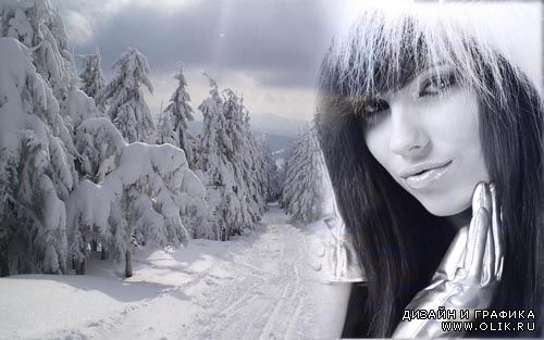 Рамка для фотошоп - лес укутан снегом