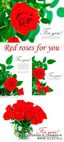 Красные розы для тебя | Red roses for you