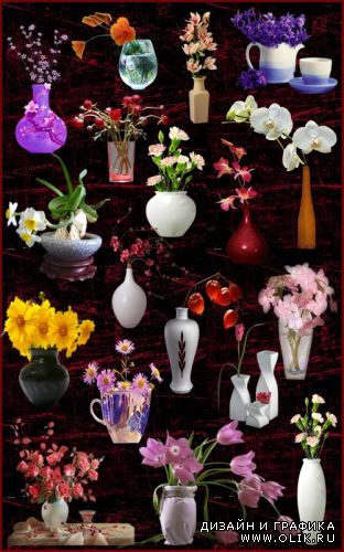 Клипарт - Цветы в вазах