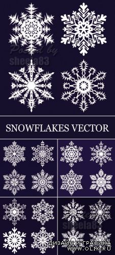 Snowflakes Vector 2
