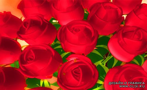 Фоновый футаж из роз - Где розы там праздник и любовь