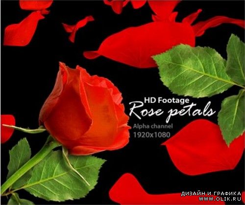 Alpha Channel Footage HD - Rose Petals (Лепестки роз)