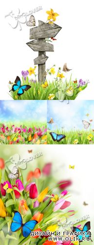Floral meadow with butterflies 0364