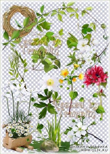 Весенний клипарт на прозрачном фоне – Цветы, листва, зелень, вырезы