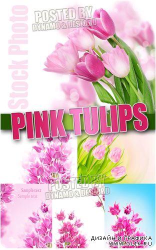Розовые тюльпаны - Растровый клипарт