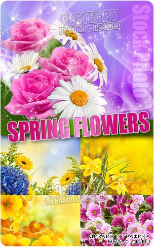 Весенние цветы 3 - Растровый клипарт