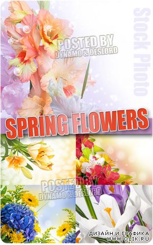 Весенние цветы 4 - Растровый клипарт