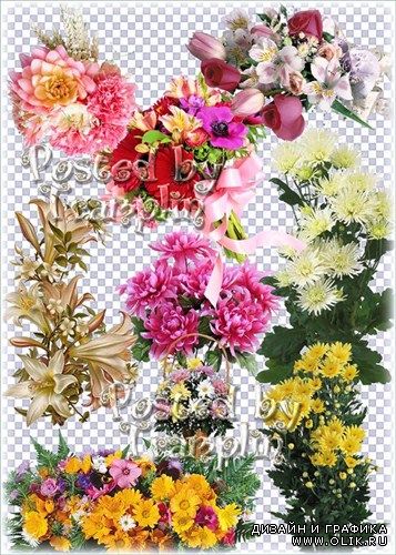 Клипарт на прозрачном фоне – Букеты цветов, композиции