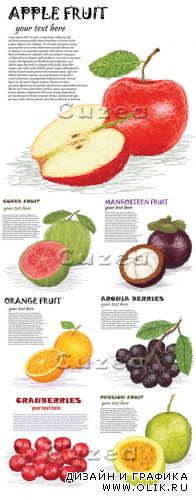 Фрукты в векторе с местом для текста/ Backgrounds with fruit in a vector and a place for the text