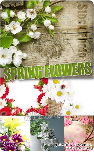 Весенние цветы 7 - Растровый клипарт