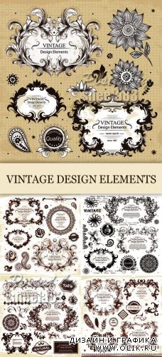 Calligraphic Vintage Elements Vector