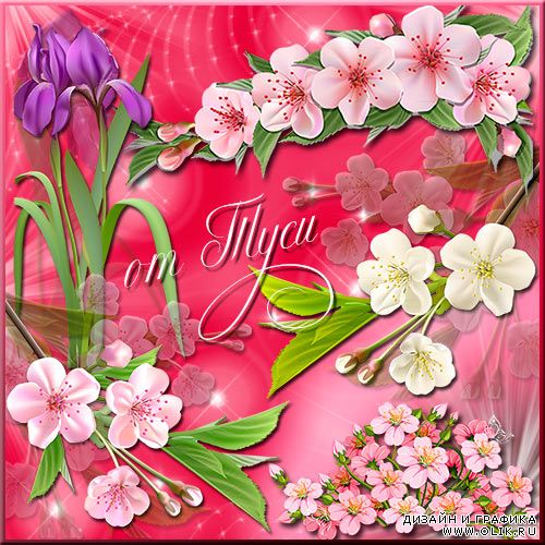 Клипарт - Весенние цветы прелестны и нежны