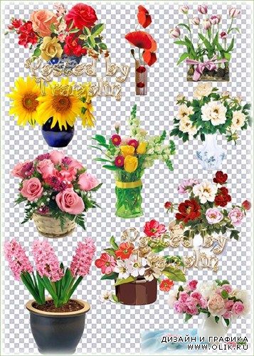 Клипарт на прозрачном фоне – Букеты цветов в вазах, корзинах, горшках