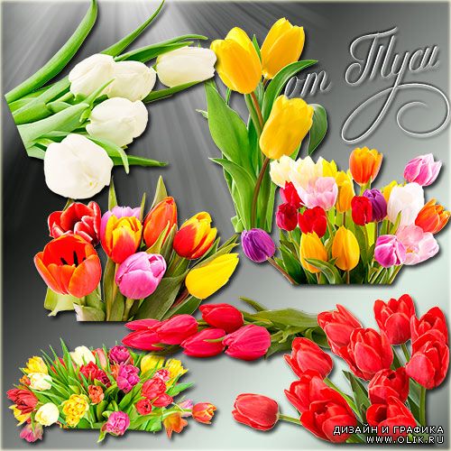 Клипарт - Тюльпаны поют о весне