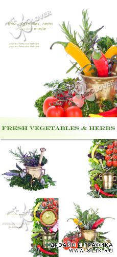 Fresh vegetables and herbs 0402