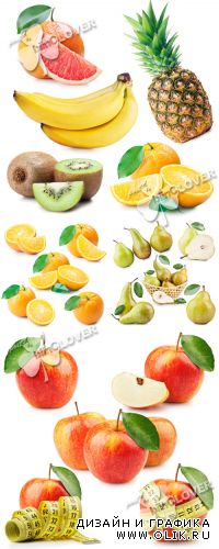 Collection of fruits 0410