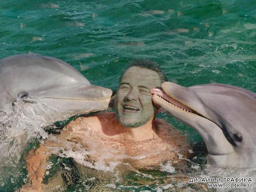 Шаблон для фотомонтажа - Поцелуй дельфина