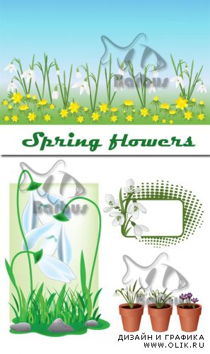 Spring flowers / Весенние цветы