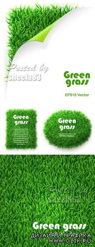 Green Grass Banners Vector