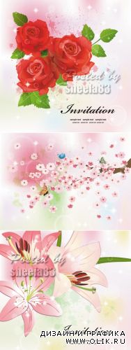 Spring Cards with Flowers Vector
