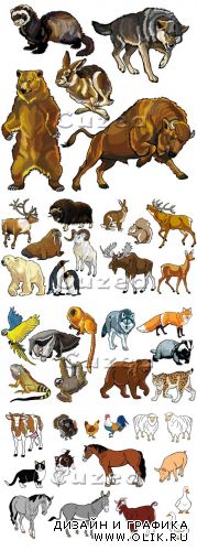 Дикие и домашние животные в векторе/ Wild and house animals in vector